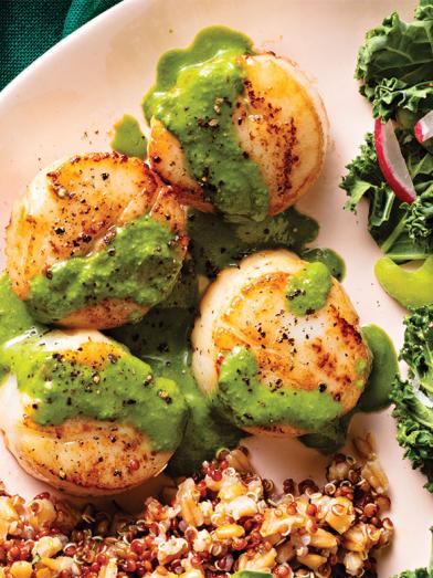 Seared Scallops with Pesto Sauce