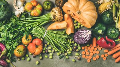 Array of fresh fall vegetables