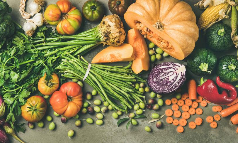 Array of fresh fall vegetables