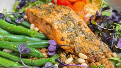 Salmon and Wheat Berry Pesto Salad